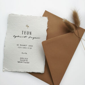 Geboortekaartje Teun op handgeschept papier. Bovenaan een goudkleugie ooievaartje.